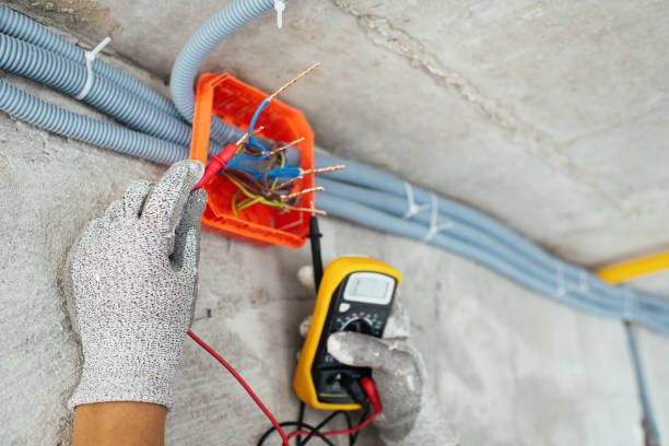 Best Affordable Electrician  in Orange Grove, TX